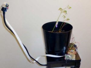 GreenPiThumb: A Raspberry Pi Gardening Bot