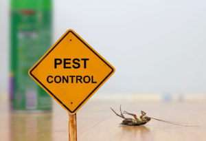 uber for pest control app clone