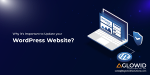 Why its Important to Update a WordPress Website? | Aglowid IT Solutions