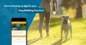 How to develop an app for your dog walking service?