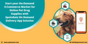 How To Launch A Successful E-commerce Marketplace For Online Pet Drug Delivery Service Startup W ...