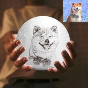 2 Color Personalized Custom 3D Printing Photo Moon Light Lamp For Pets,Dogs&Puppy – Ge ...