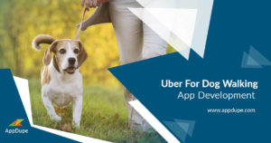 Launch your Uber for dog walker app built with user-friendly features