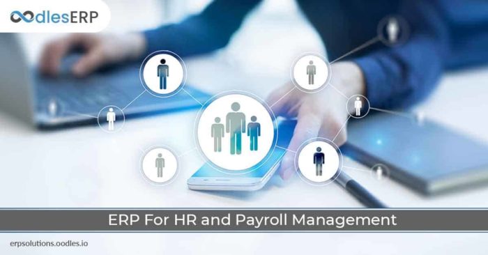 ERP Software Development For HR and Payroll Management