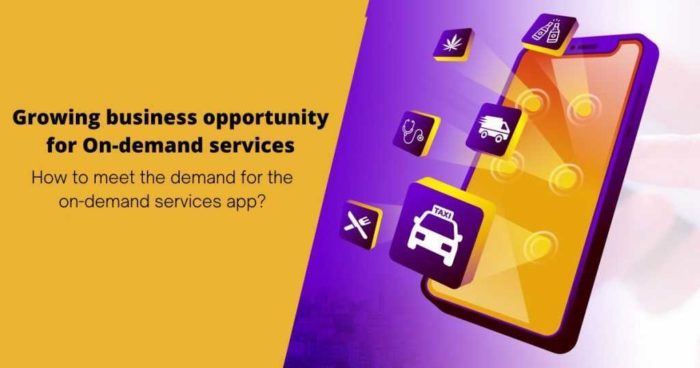 Growing business opportunity for On-demand services: How to create such an app?