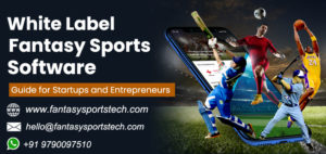Fantasy Sports Software Solutions | Complete Guide for Startups