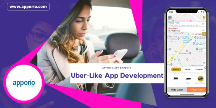 Best Uber-Like App Script Development