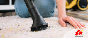 365 Cleaners is one of the most trusted cleaning company in Melbourne. We are providing the best ...