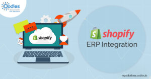 Things that make Shopify ERP integration worthy for businesses