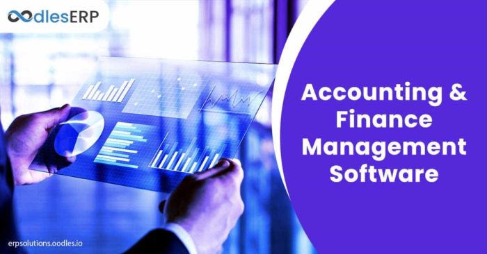 Accounting and Finance Management Software – Time, Cost, Features, and More