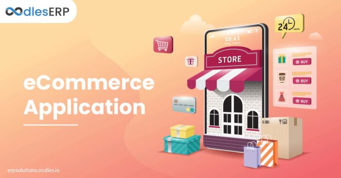 ECommerce Application: Development Time, Cost, Features, and More