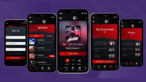Netflix Clone – Develop and launch a video streaming app in 2021