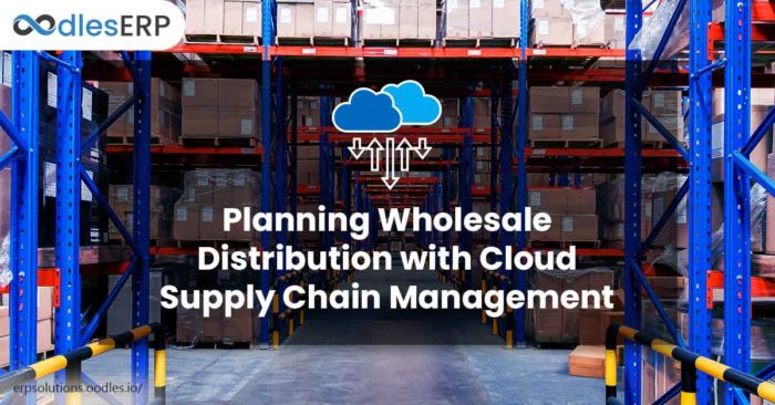 Planning Wholesale Distribution with Cloud Supply Chain Management