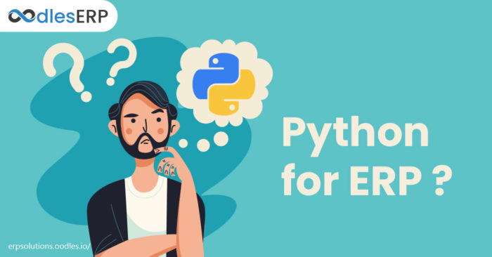 Python for an ERP software development