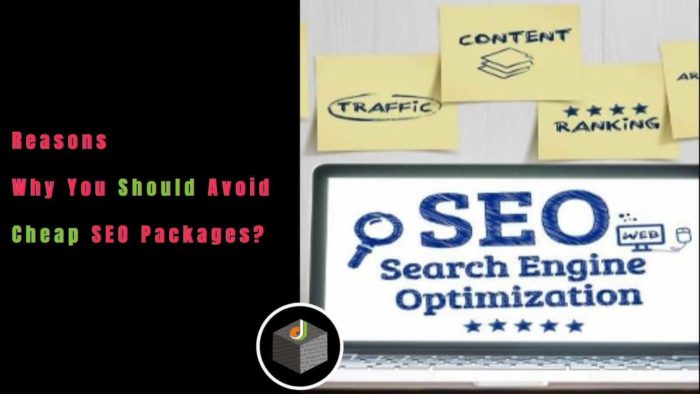 Know The Best Reasons to Avoid Cheap SEO Packages in 2021 – Digital Web Services