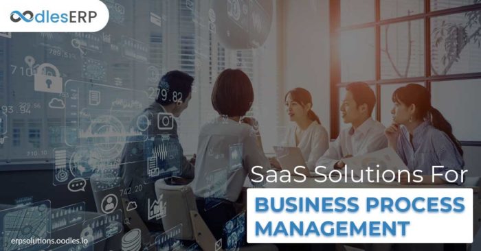 SaaS Software Development Services For Business Process Management