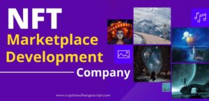 NFT Marketplace Development | Non-Fungible Marketplace Software Development Company