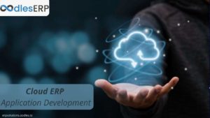 Cloud ERP Application Development For Business Process Management