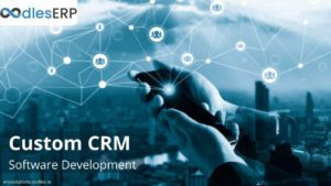 How CRM Software Development Helps Reduce Operational Costs