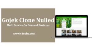 Gojek Clone Nulled: Multi Service On Demand Business