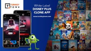 How can a white-label Disney plus clone app levitate your online business?
Life without entertai ...