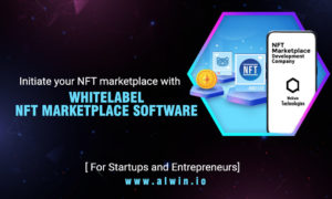 White Label NFT Marketplace Development | White label NFT Marketplace Solutions