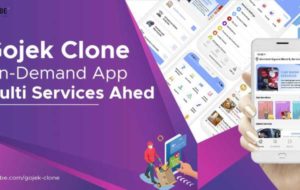 ESTABLISH YOUR PRESENCE IN THE MULTI-SERVICE BUSINESS WITH GOJEK CLONE APP