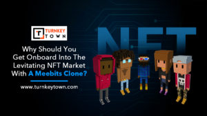 Get Onboard Into The Levitating NFT Market With A Meebits Clone?