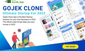 Gojek Clone Nigeria – The Best Way To Make Your Business More Profitable