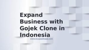Expand Business with Gojek Clone in Indonesia