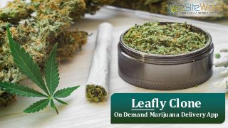 Leafly Clone On Demand Marijuana Delivery App