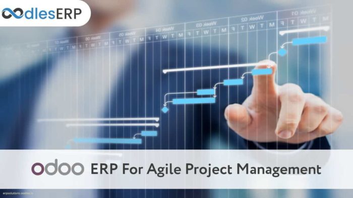 Odoo Application Development For Agile Project Management