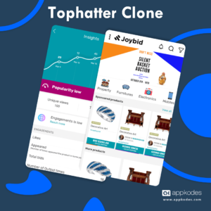 Online auction platform using Tophatter clone