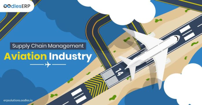 Supply Chain in Aviation Industry | Supply Chain Software Development