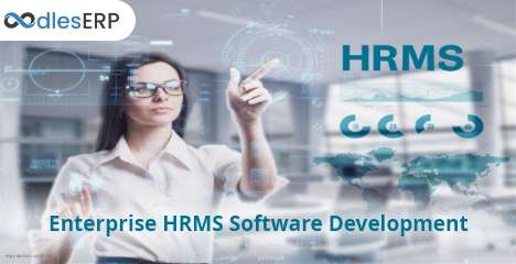 Enterprise HR Software Development To Achieve Digital Transformation