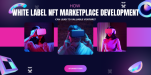 How White label NFT Marketplace Development Can Lead To Valuable Venture