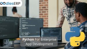 Benefits of Enterprise App Development Using Python