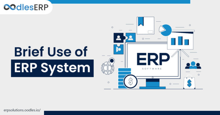 Brief Usage of ERP system