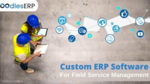 Custom ERP Development For Field Service Management