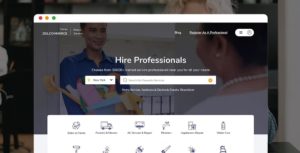 How Professional OnDemand Works? How To Build Your Own Professional Service Marketplace Website? ...