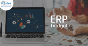 Important Considerations while Doing ERP Budgeting