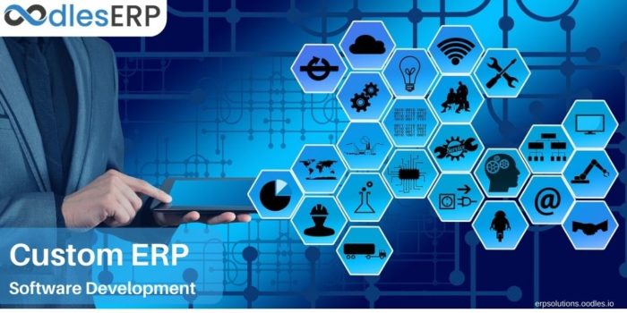 Investing In Custom ERP Application Development In 2021